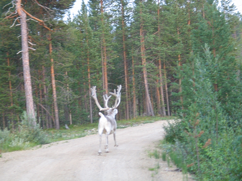 Original image